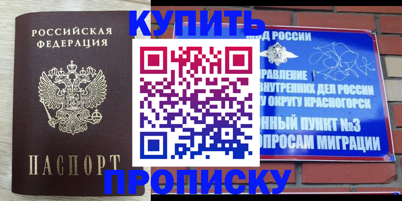 прописка гарантия в Волгореченске